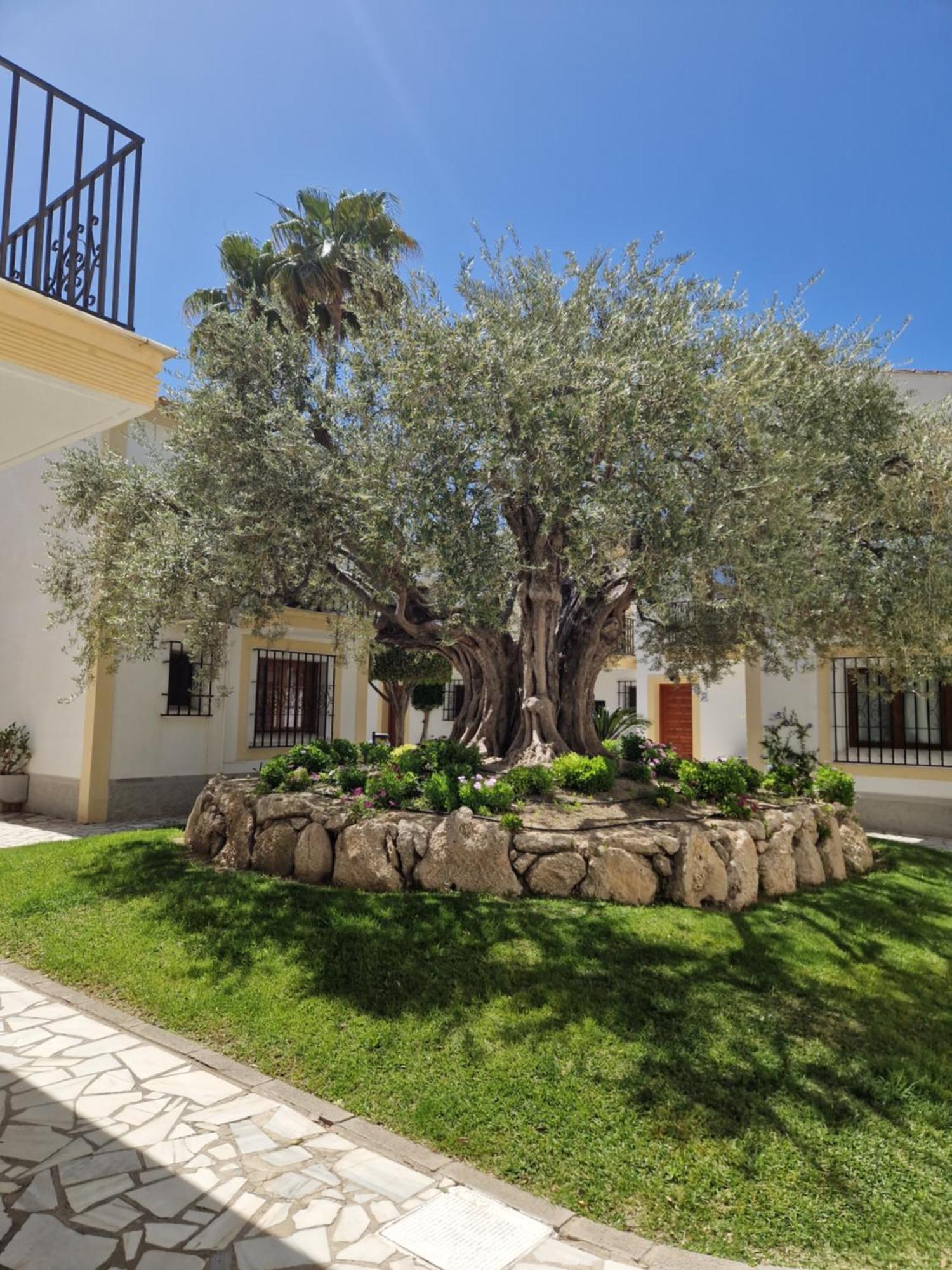 Apartamento Esquina Verde En Vera Coast Playas de Vera Exterior foto